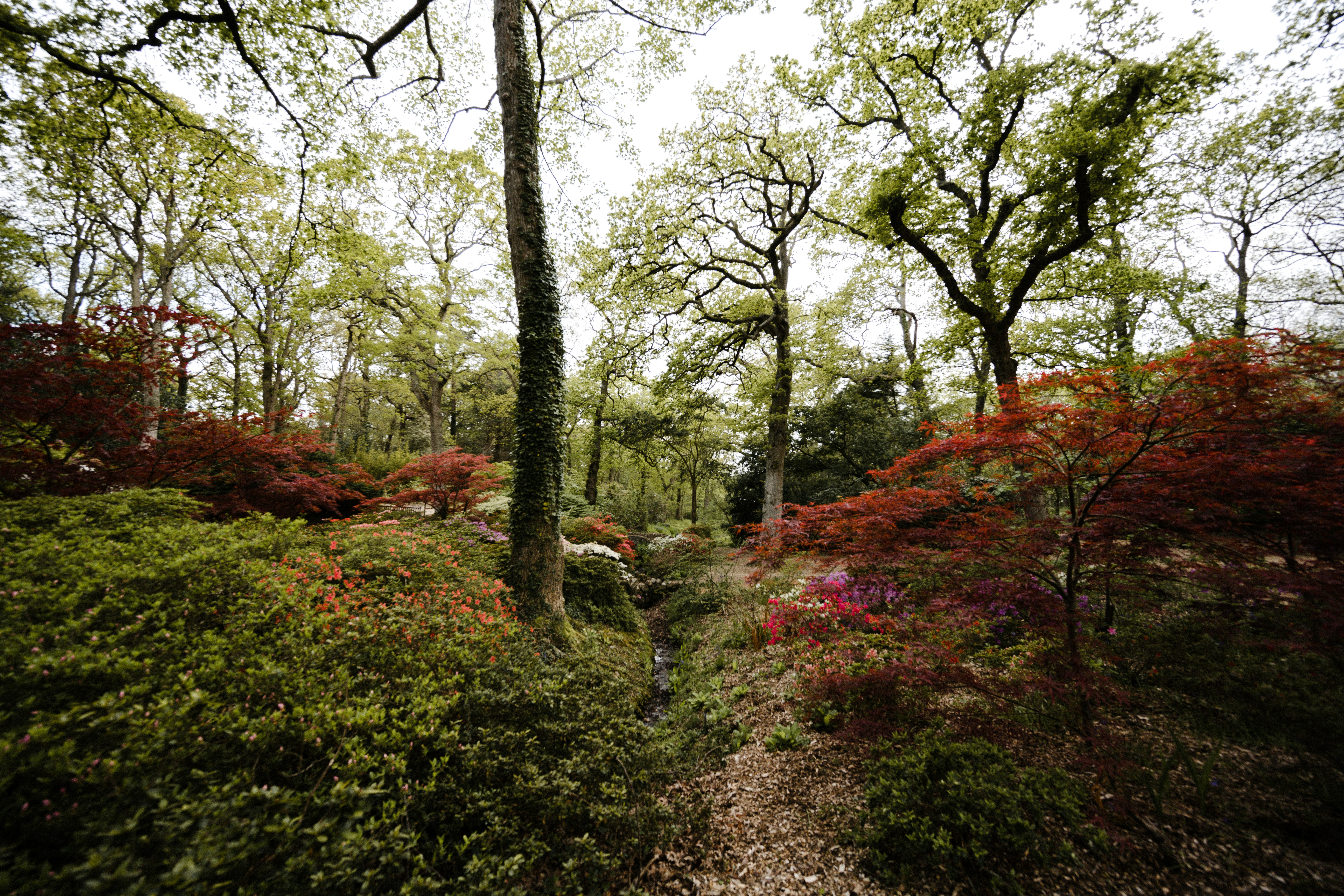 Photo by anniespratt