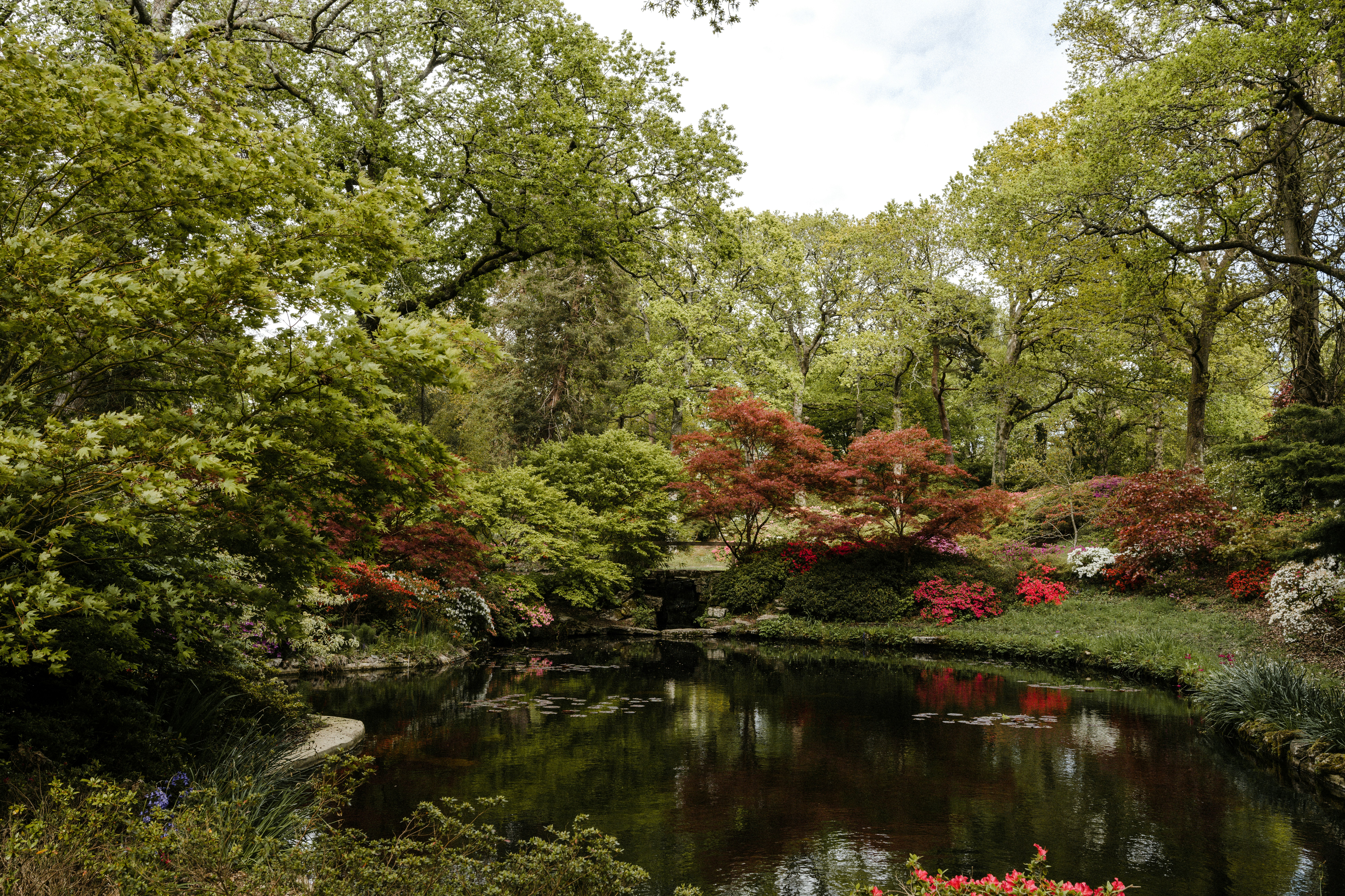 Photo by anniespratt