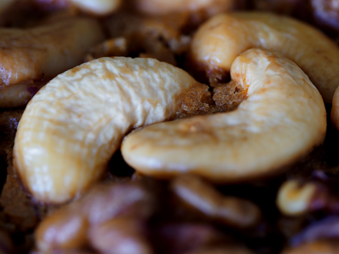 brown and white mushroom in close up photography