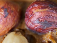 Close-up view of large, textured seeds with a reddish-brown surface and visible wrinkles. A smaller, lighter-colored seed is partially visible in the foreground.