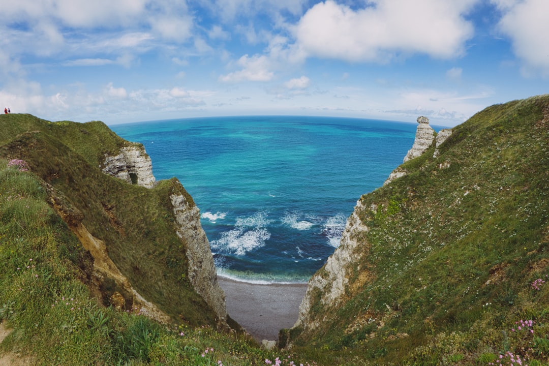 green grass covered mountain beside blue sea under blue sky during daytime