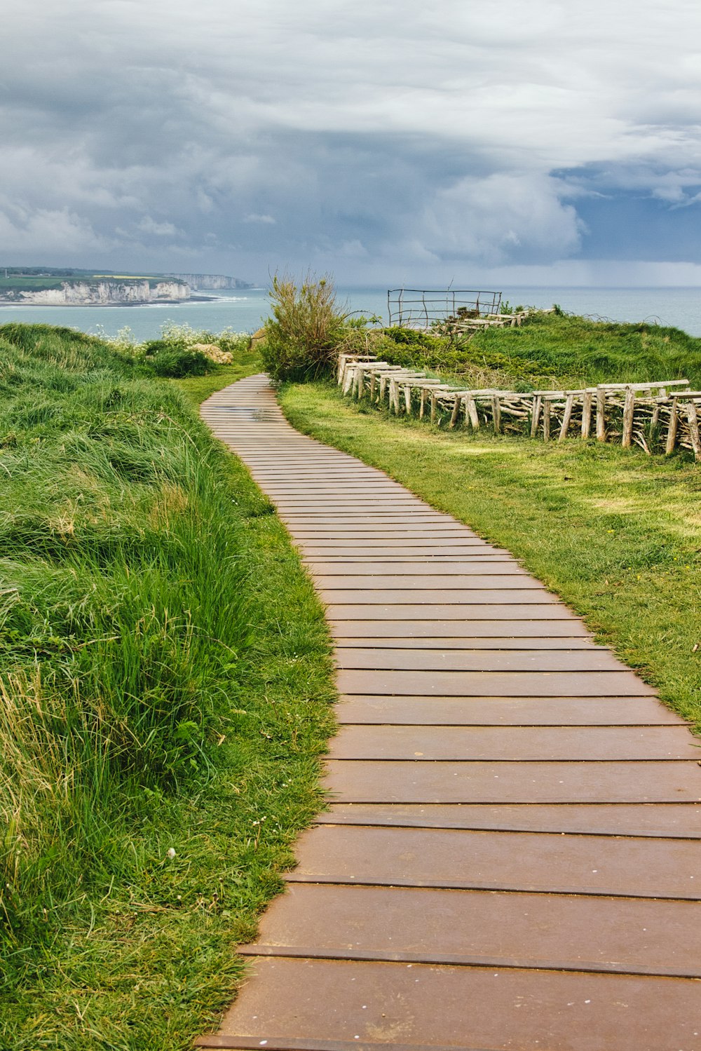 brown wooden pathway between green grass field near body of water during daytime
