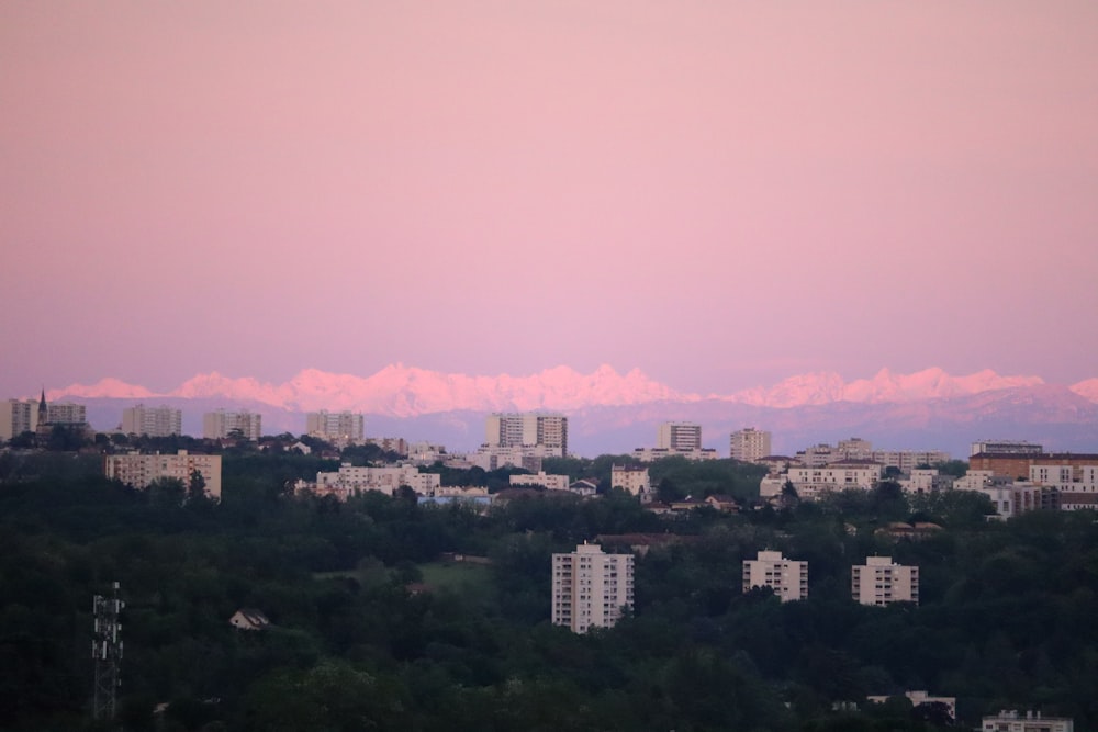 city with high rise buildings under pink sky