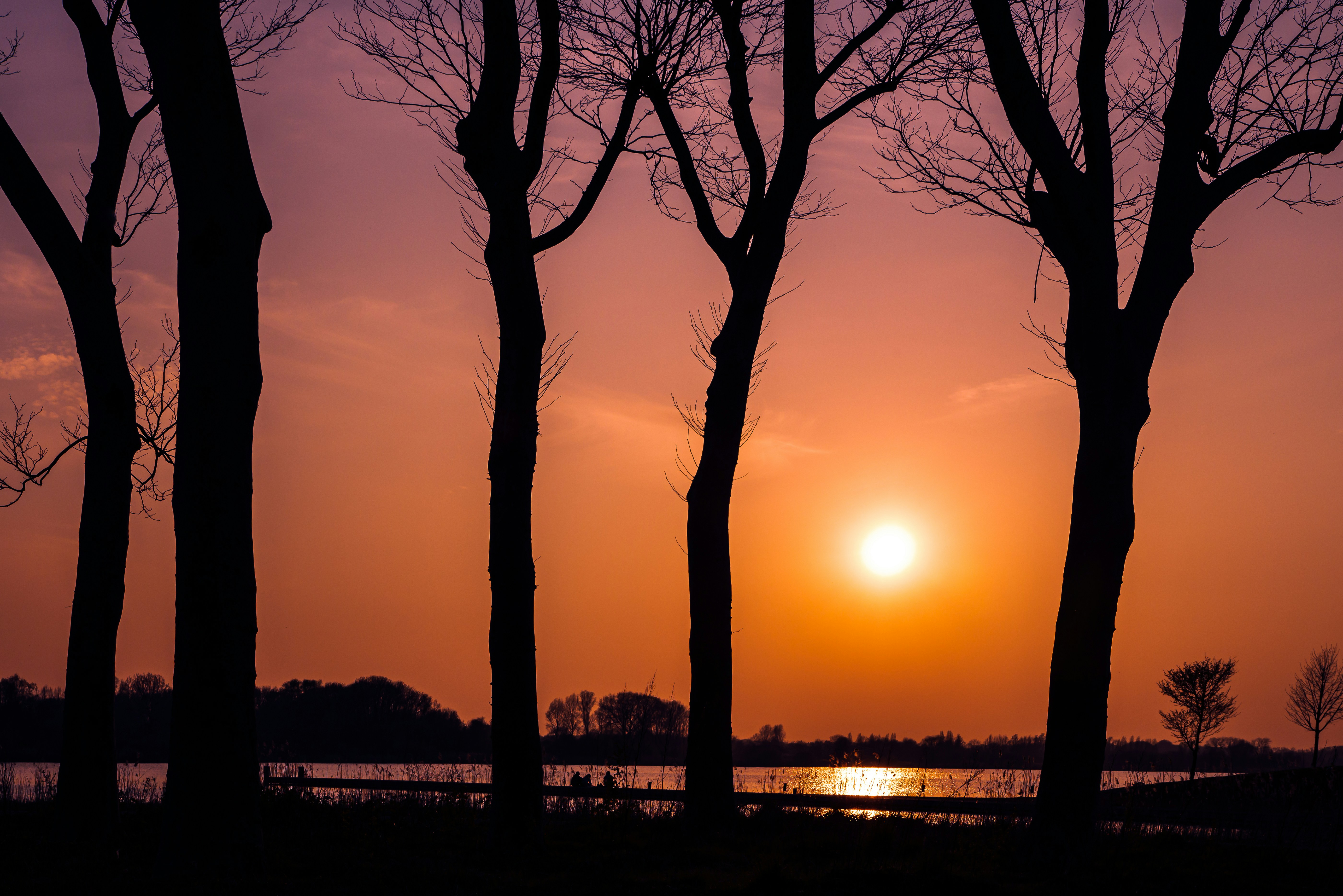 Photo by merlijnrene