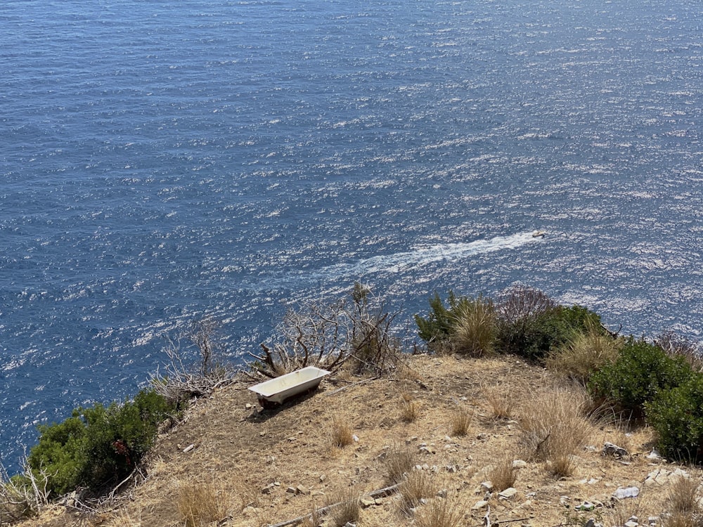 white car on brown sand near body of water during daytime