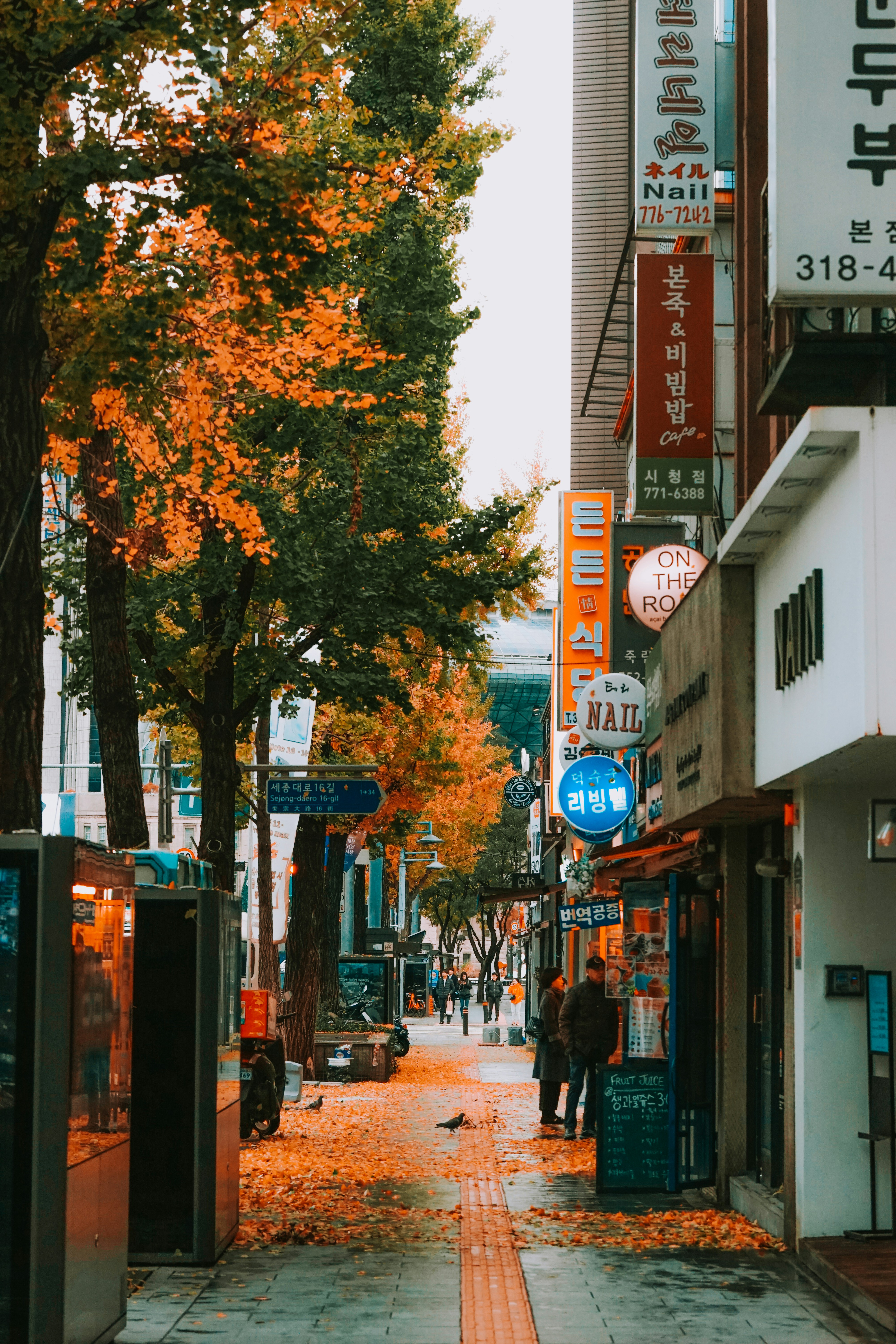 Photo by thinhngtrung