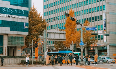 A bustling urban street scene with a group of pedestrians waiting to cross at a crosswalk. In the background, tall buildings with numerous windows are visible, featuring signs with Korean text. The setting is autumn, as evident by the orange and yellow leaves on the trees lining the street. Several cars, including a bus, are present on the road.