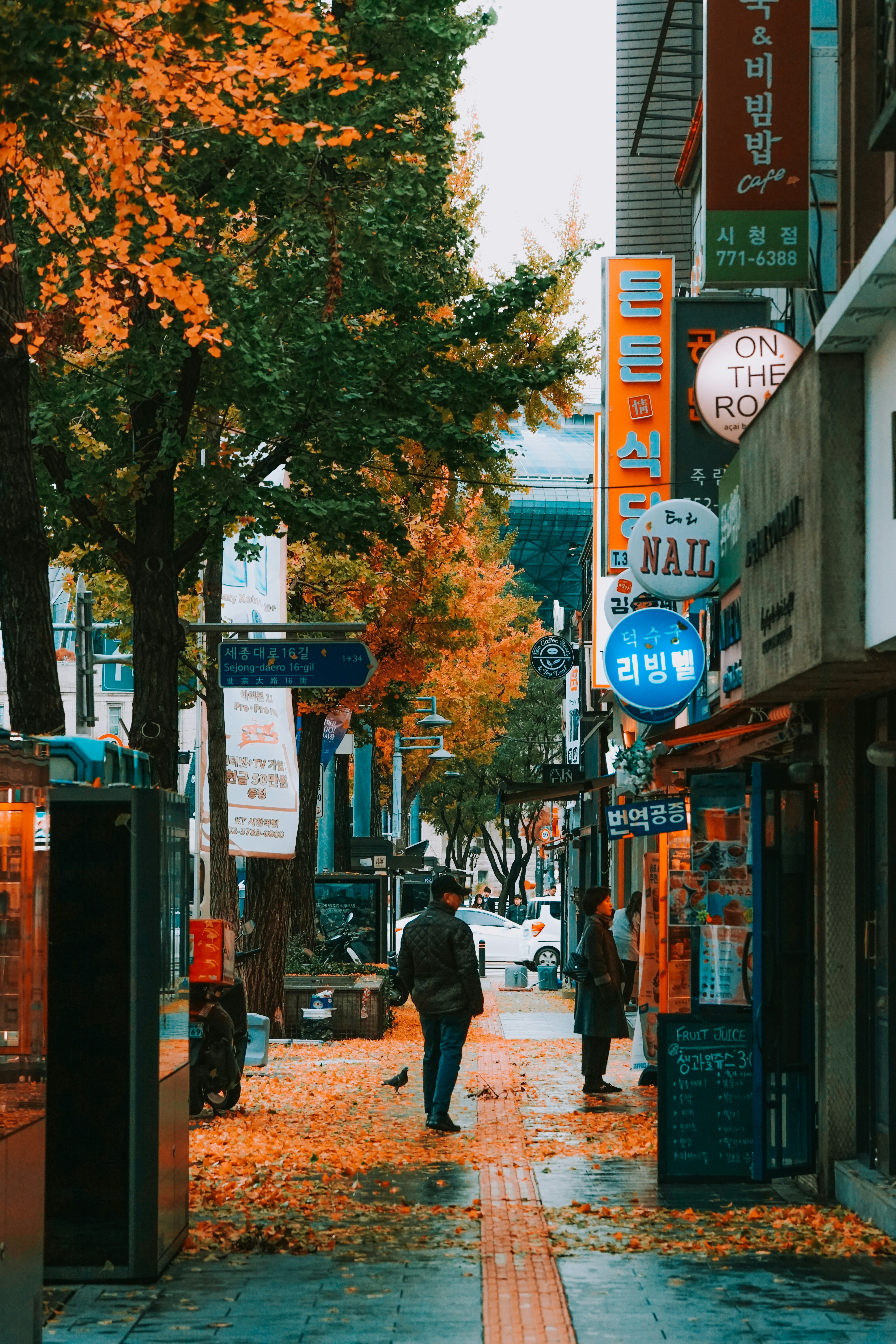 Photo by thinhngtrung