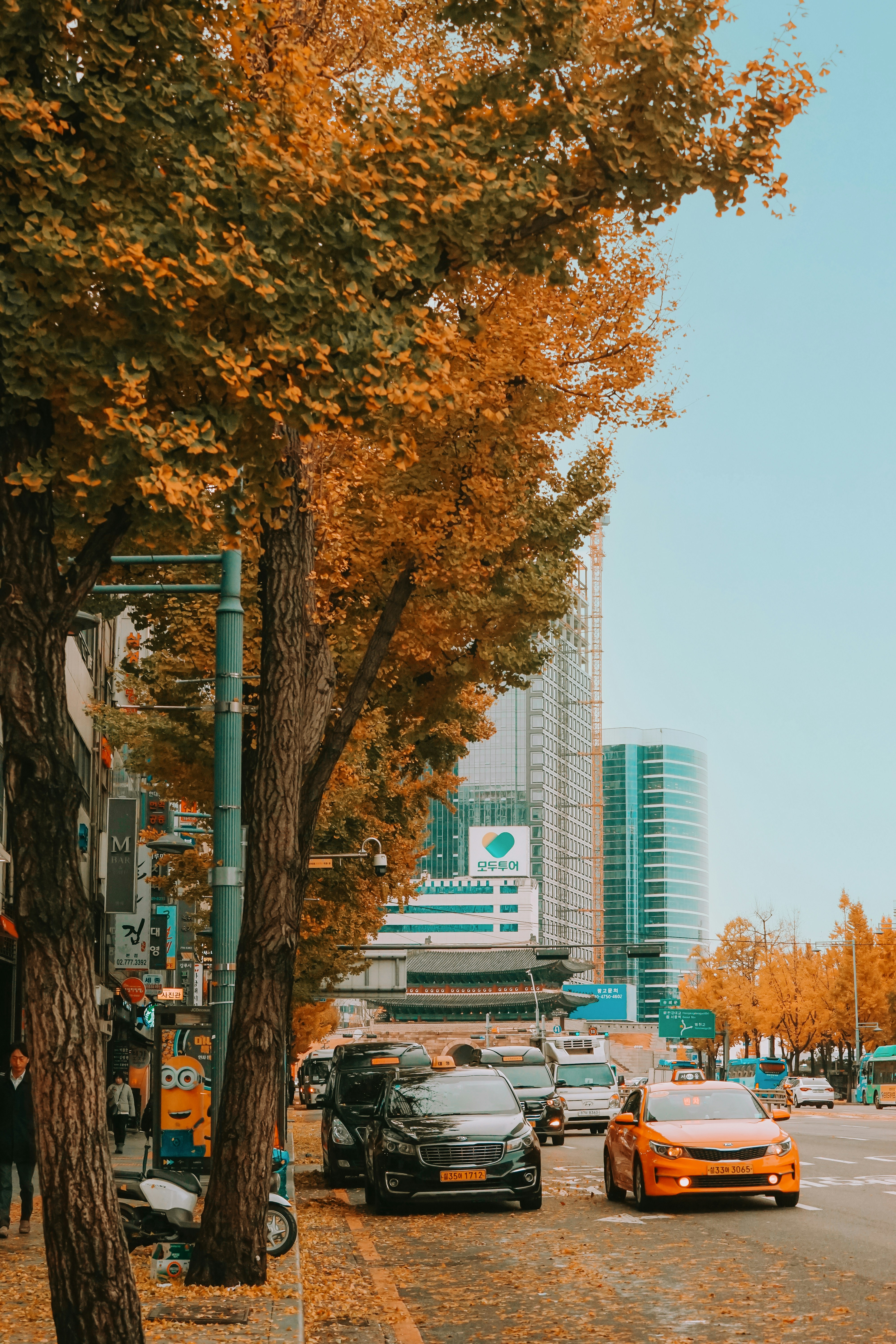Photo by thinhngtrung