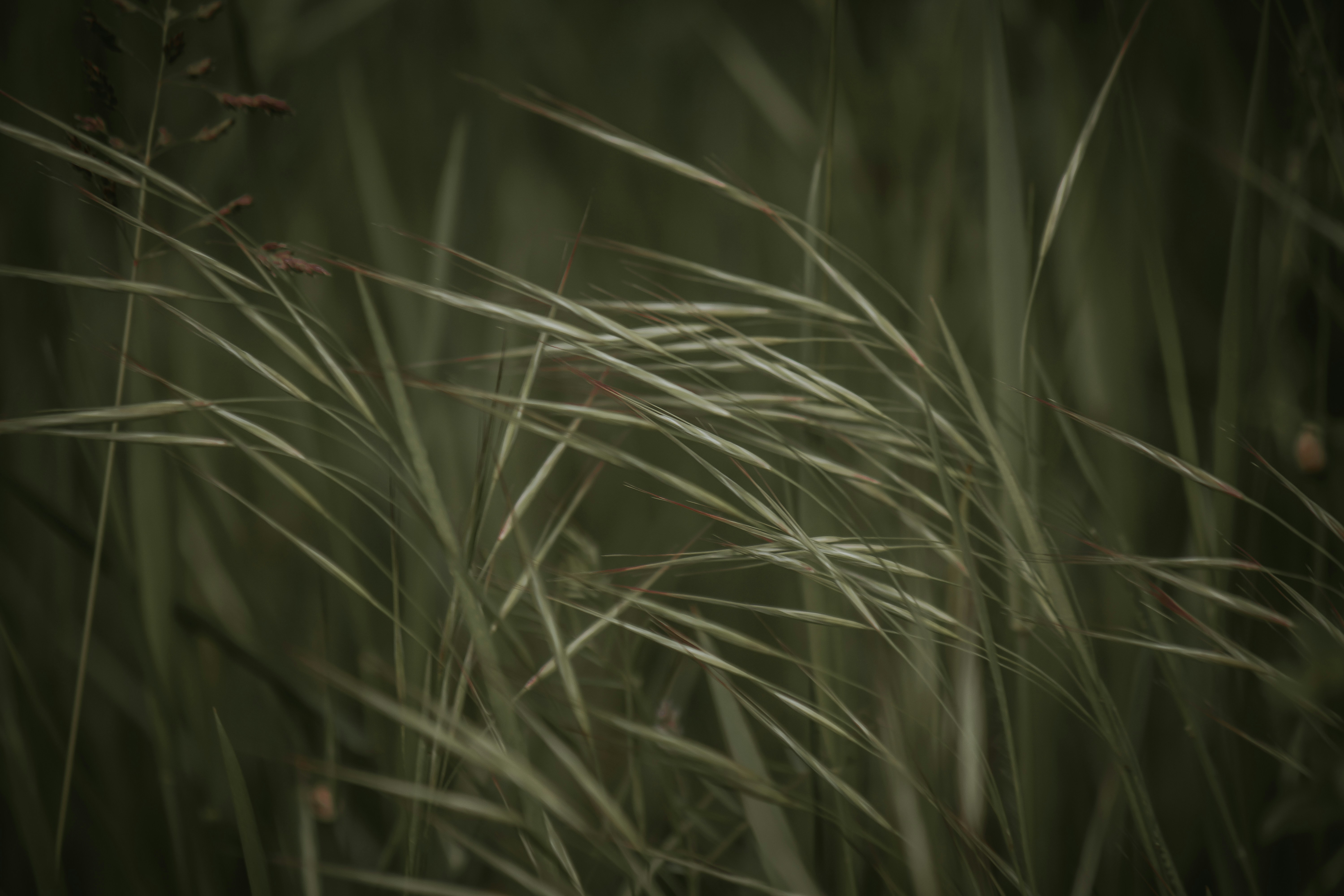 Photo by elisamoldovan