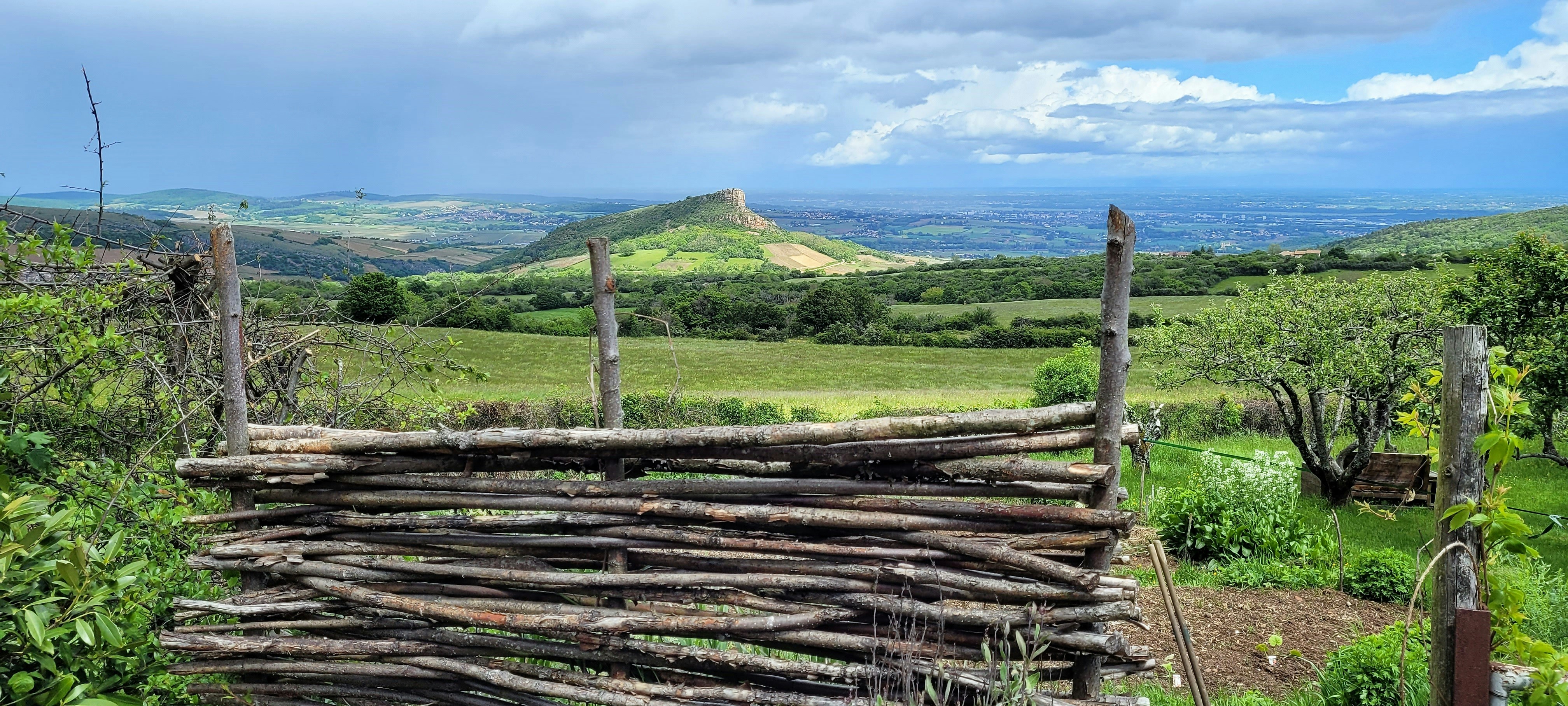 brown wooden fence on green grass field during daytime