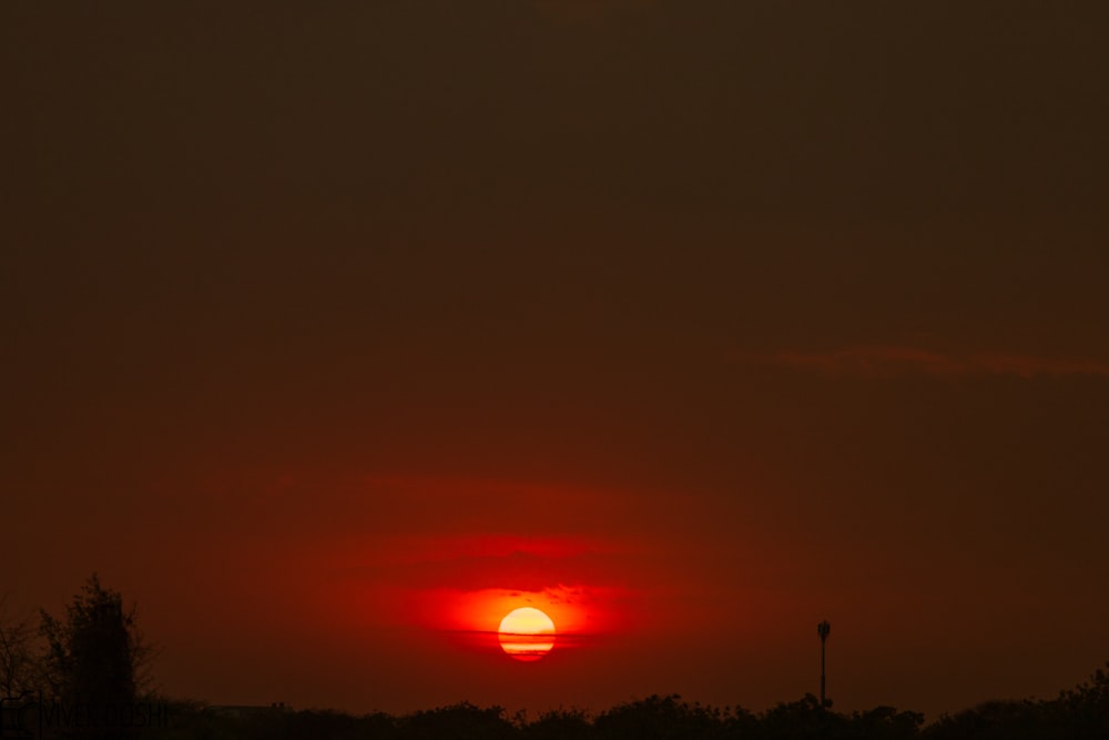 silhouette of trees during sunset