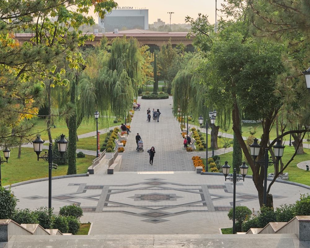 people walking on park during daytime