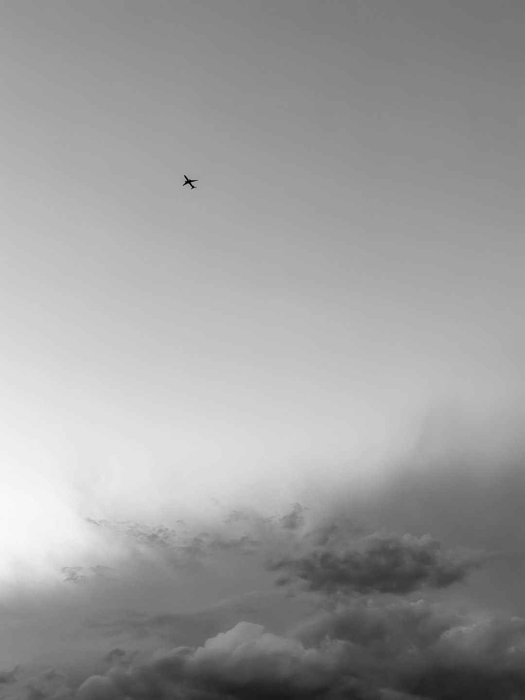 black bird flying on sky during daytime