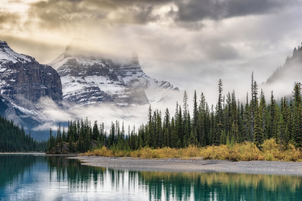 green trees near lake and snow covered mountain during daytime