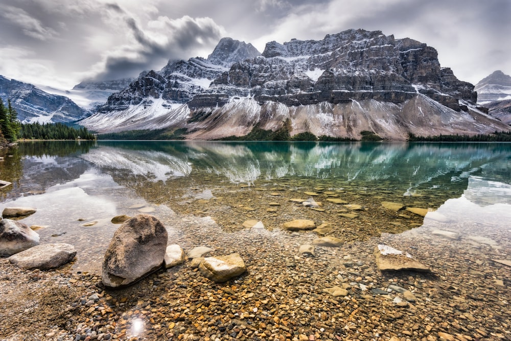 gray rocky shore with blue water