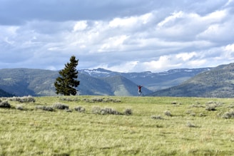 person standing on green grass field during daytime