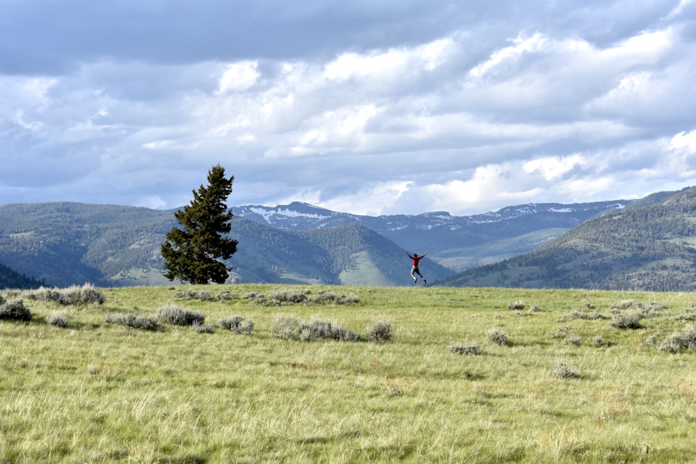 person standing on green grass field during daytime