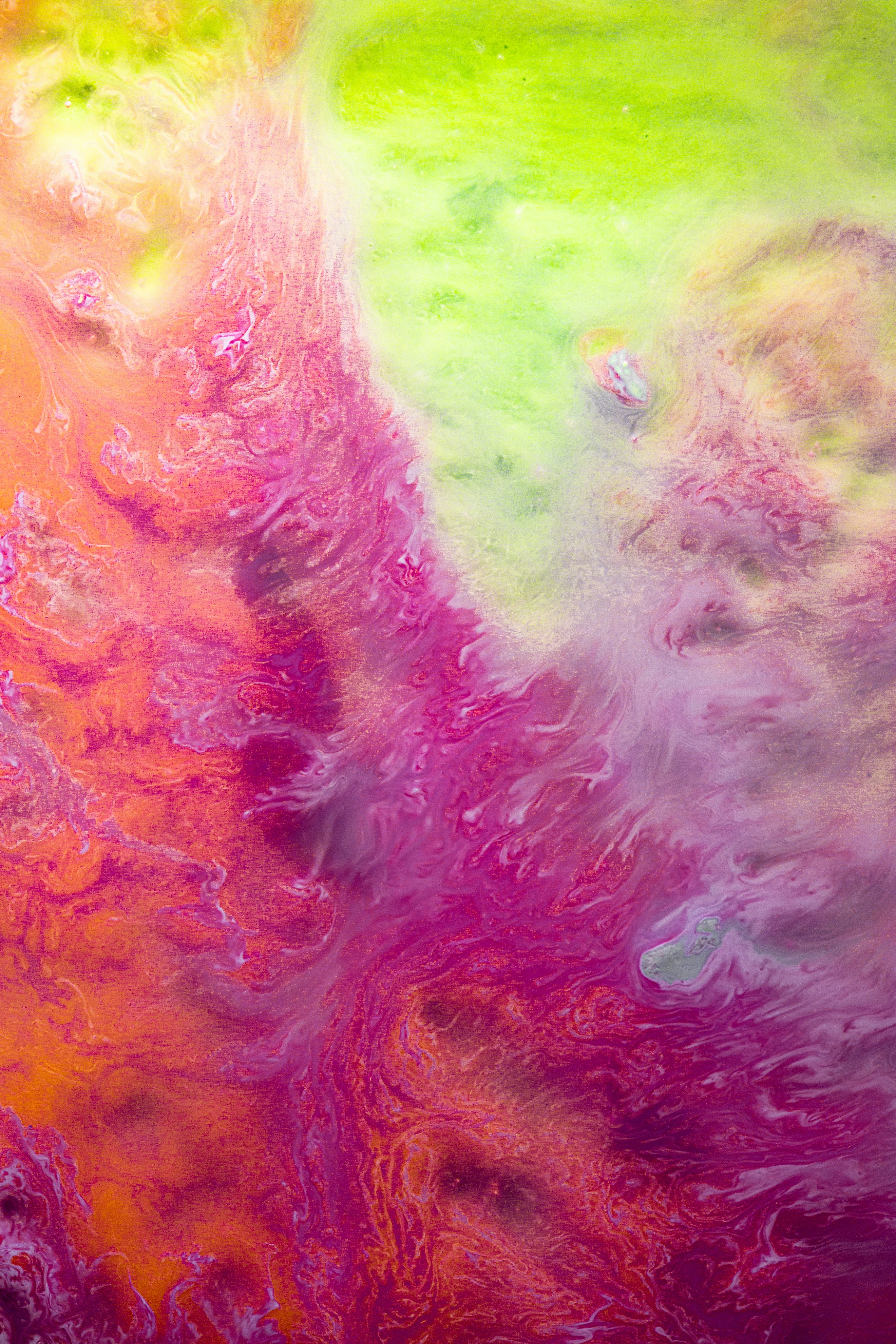 Photo by solenfeyissa