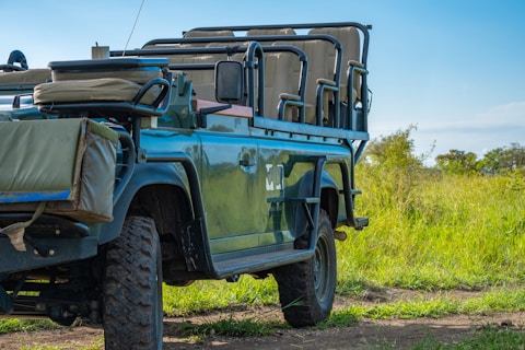 green and black jeep wrangler on green grass field during daytime
