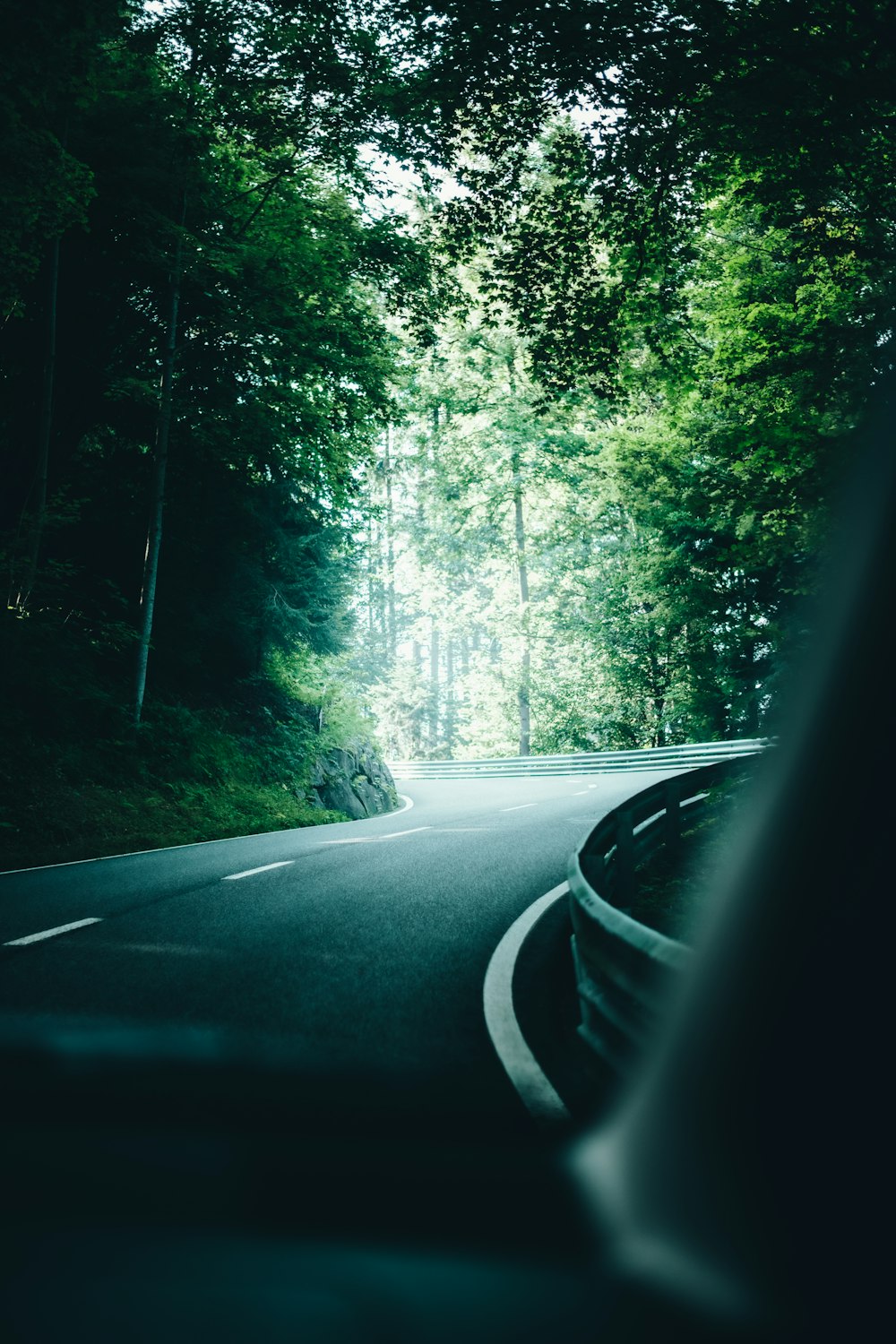 black car on road between green trees during daytime