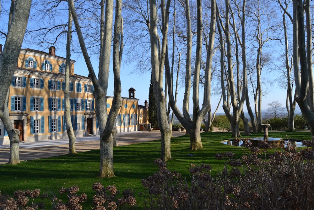 Arbres nus bruns sur un champ d’herbe verte près d’un bâtiment en béton brun pendant la journée