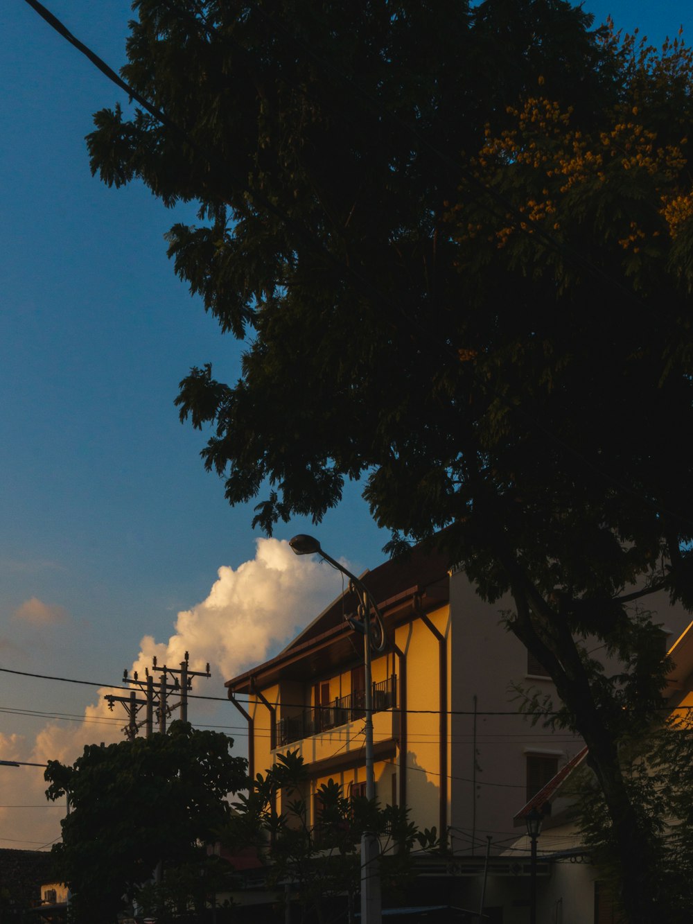 brown concrete building near green trees under blue sky during daytime