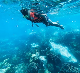 man in black and red diving suit diving on water