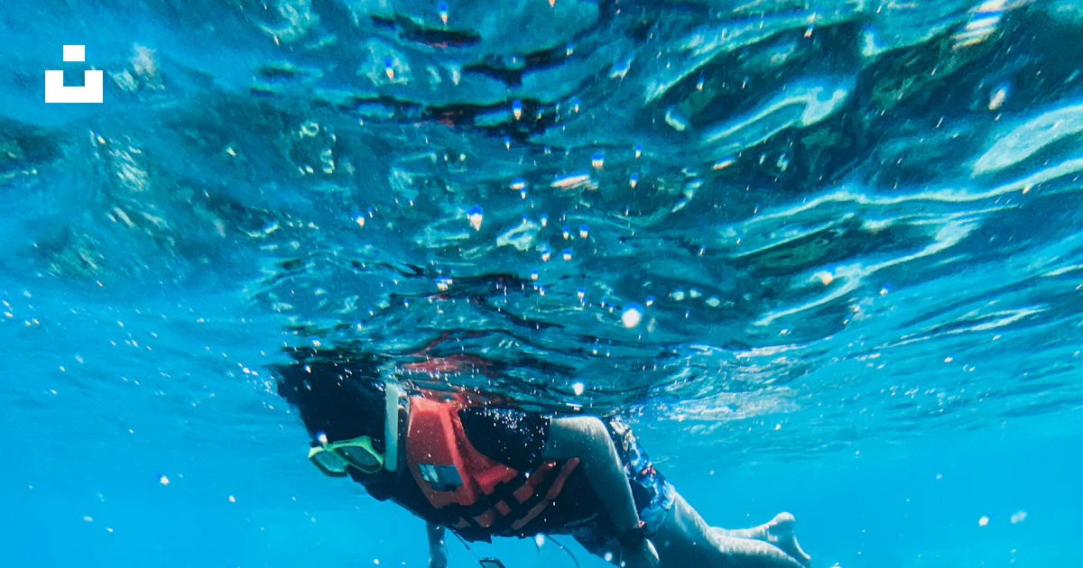 Homme en costume de plongée noir et rouge plongeant sur l'eau photo Homme en costume de plongée noir et rouge plongeant sur l'eau photo