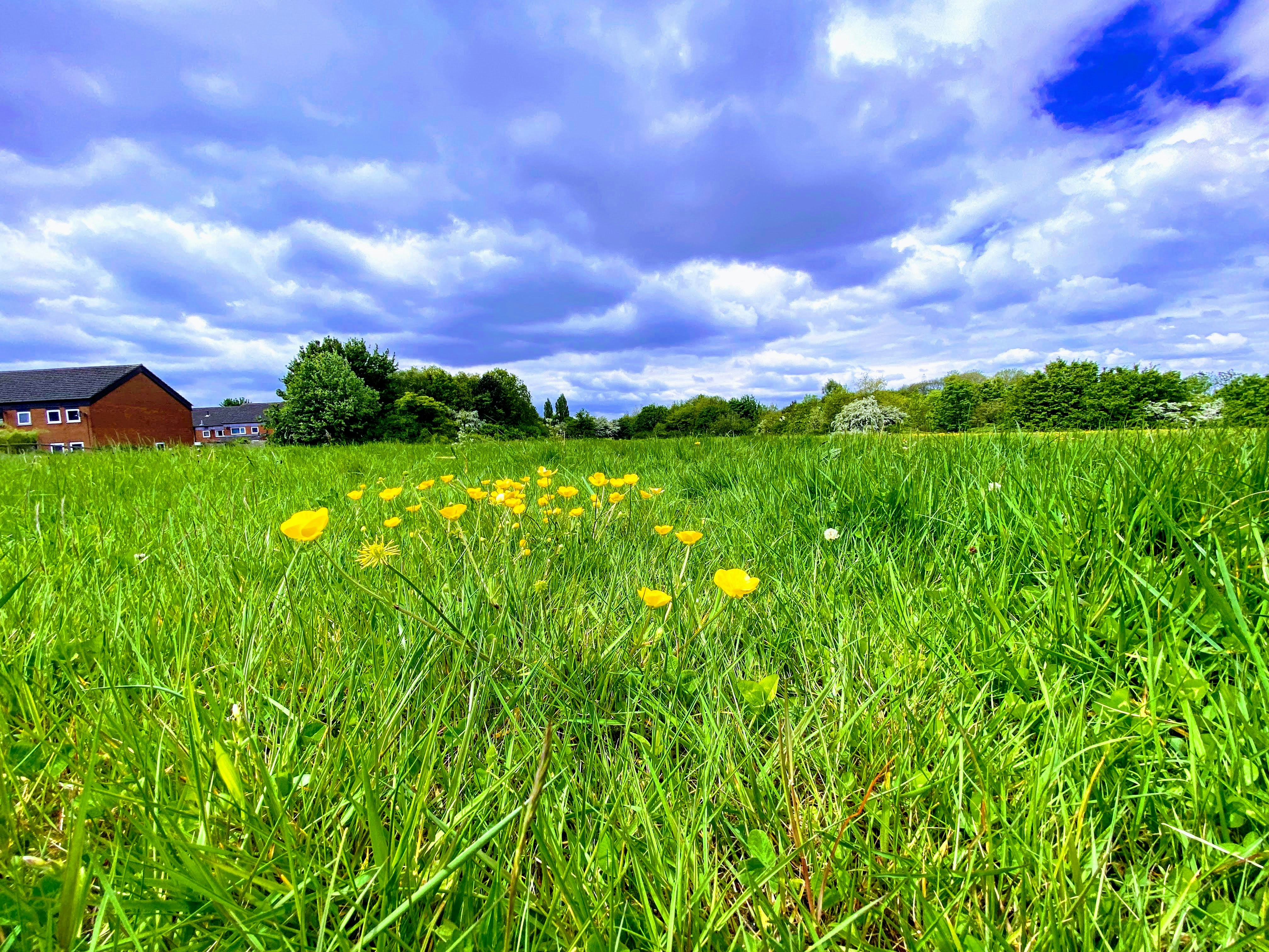 Photo by david_robert_clarke