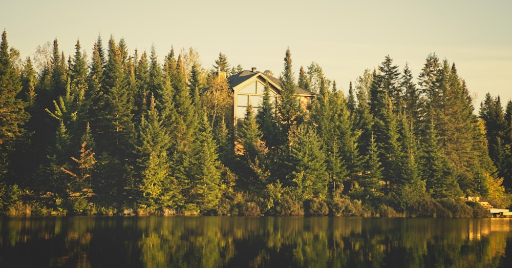 white and brown house near green trees and lake