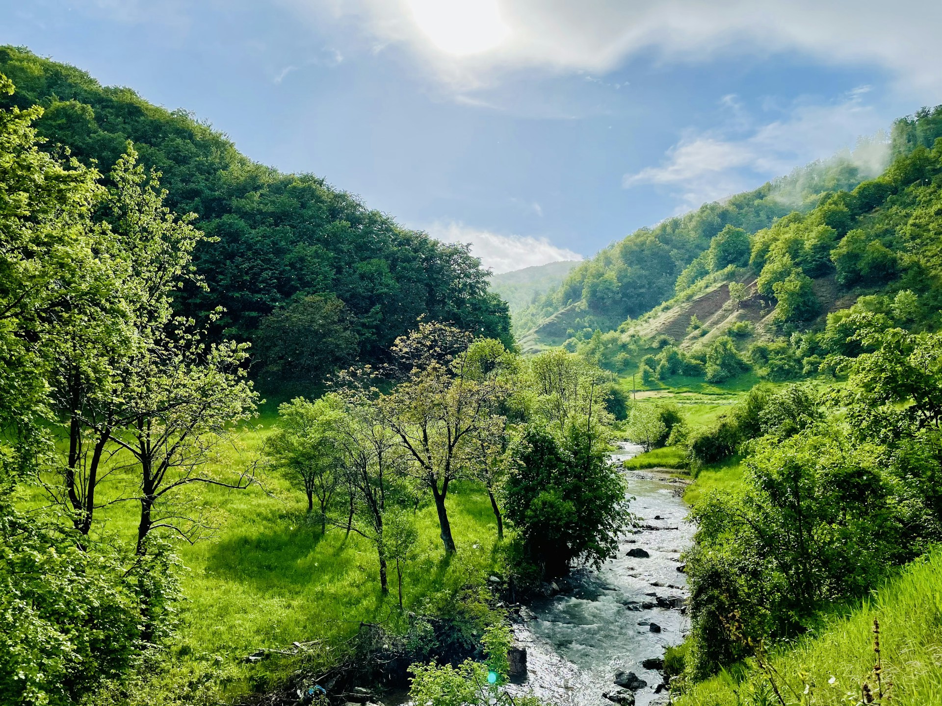 green trees beside river under blue sky during daytime