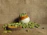 Close-up of vibrant green cardamom pods resting on a rustic wooden table.