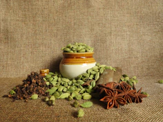 green and brown plant on white ceramic pot