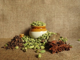 green and brown plant on white ceramic pot