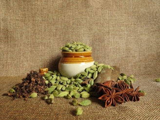 green and brown plant on white ceramic pot