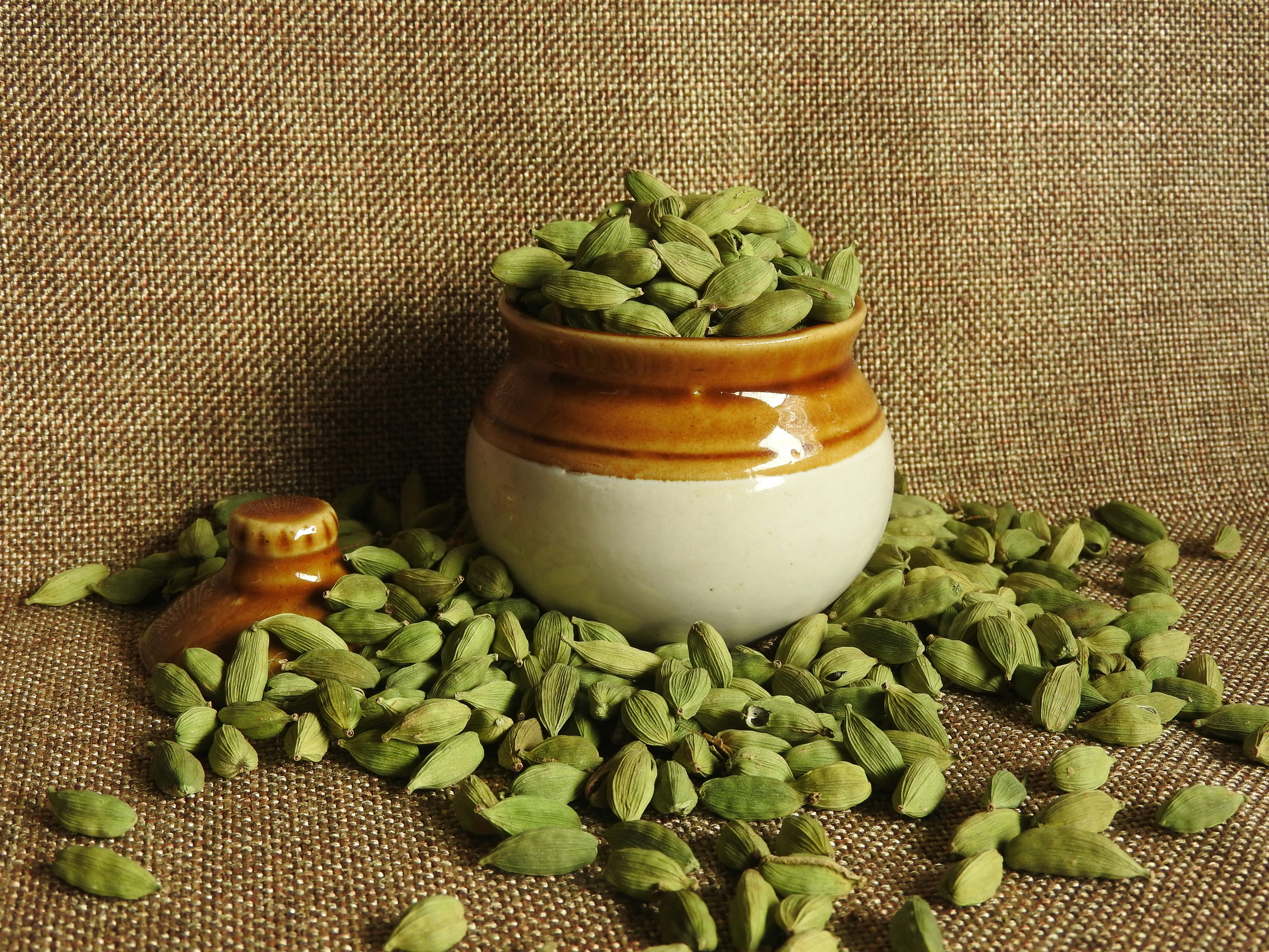 Skip the Garam Masala Aisle: The 15 Ingredients That Actually Make Punjabi Food Taste Punjabi