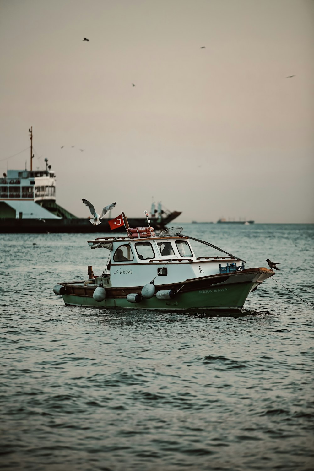 red and white boat on sea during daytime