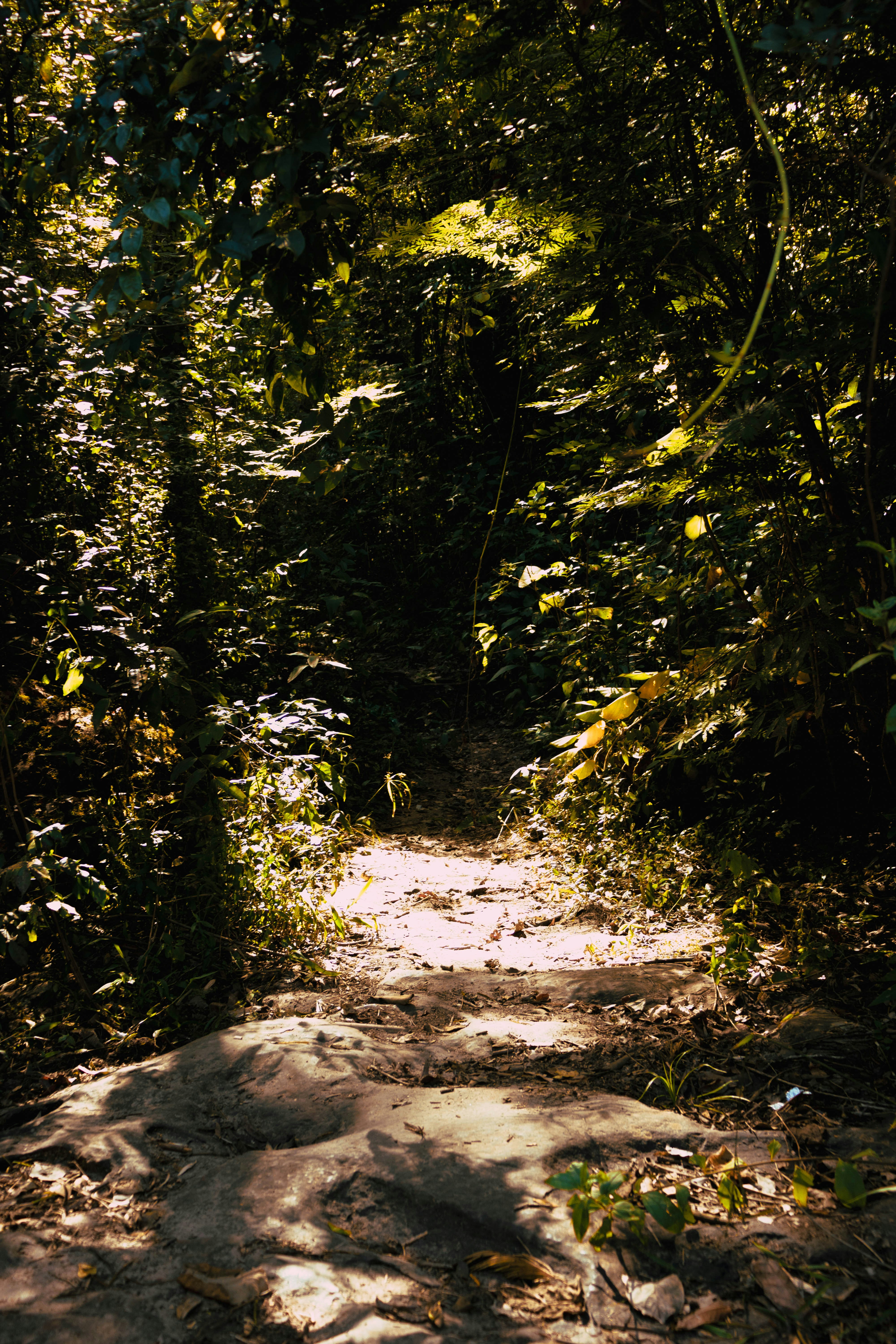 Photo by leozmartins