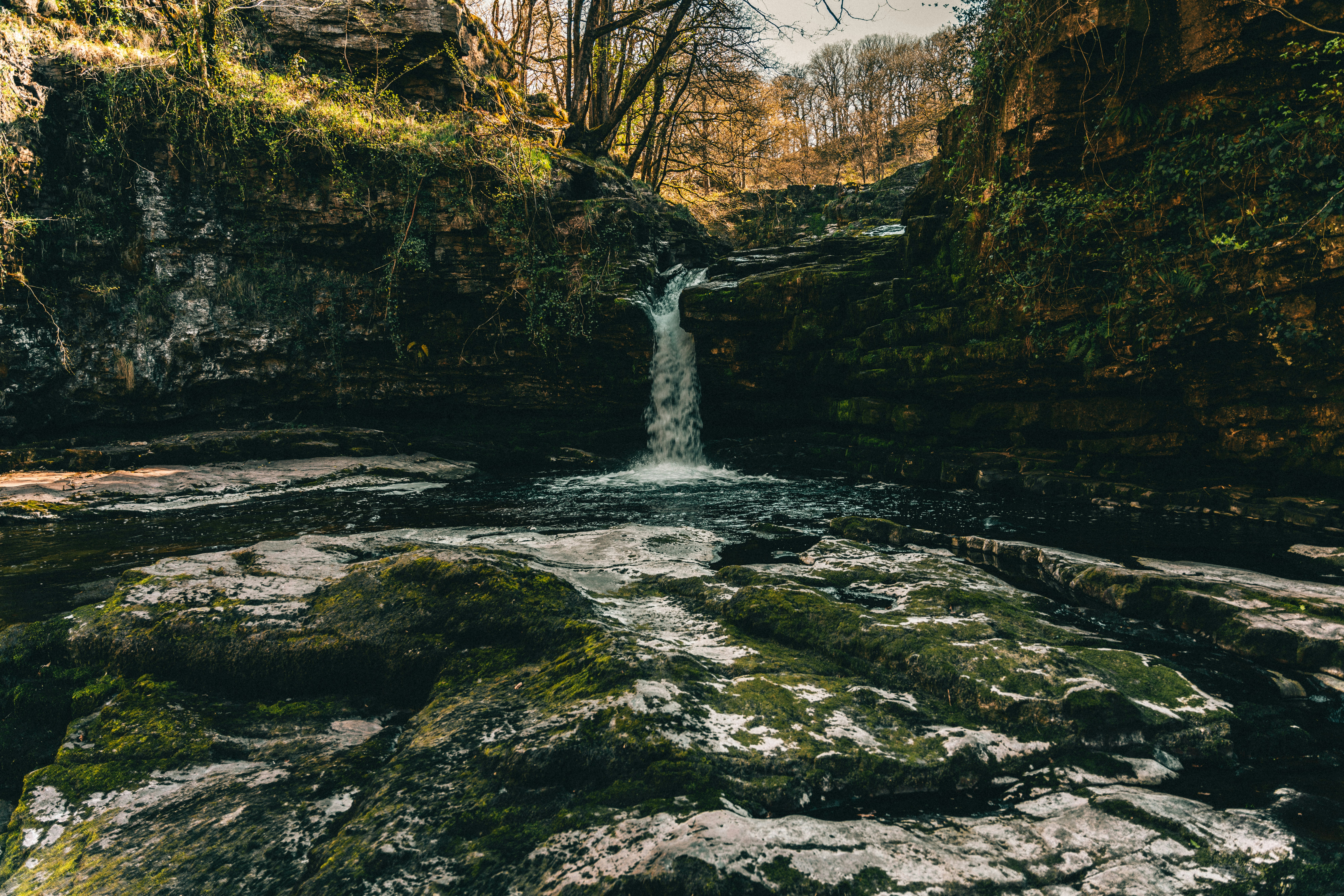 Photo by firesidebrewco