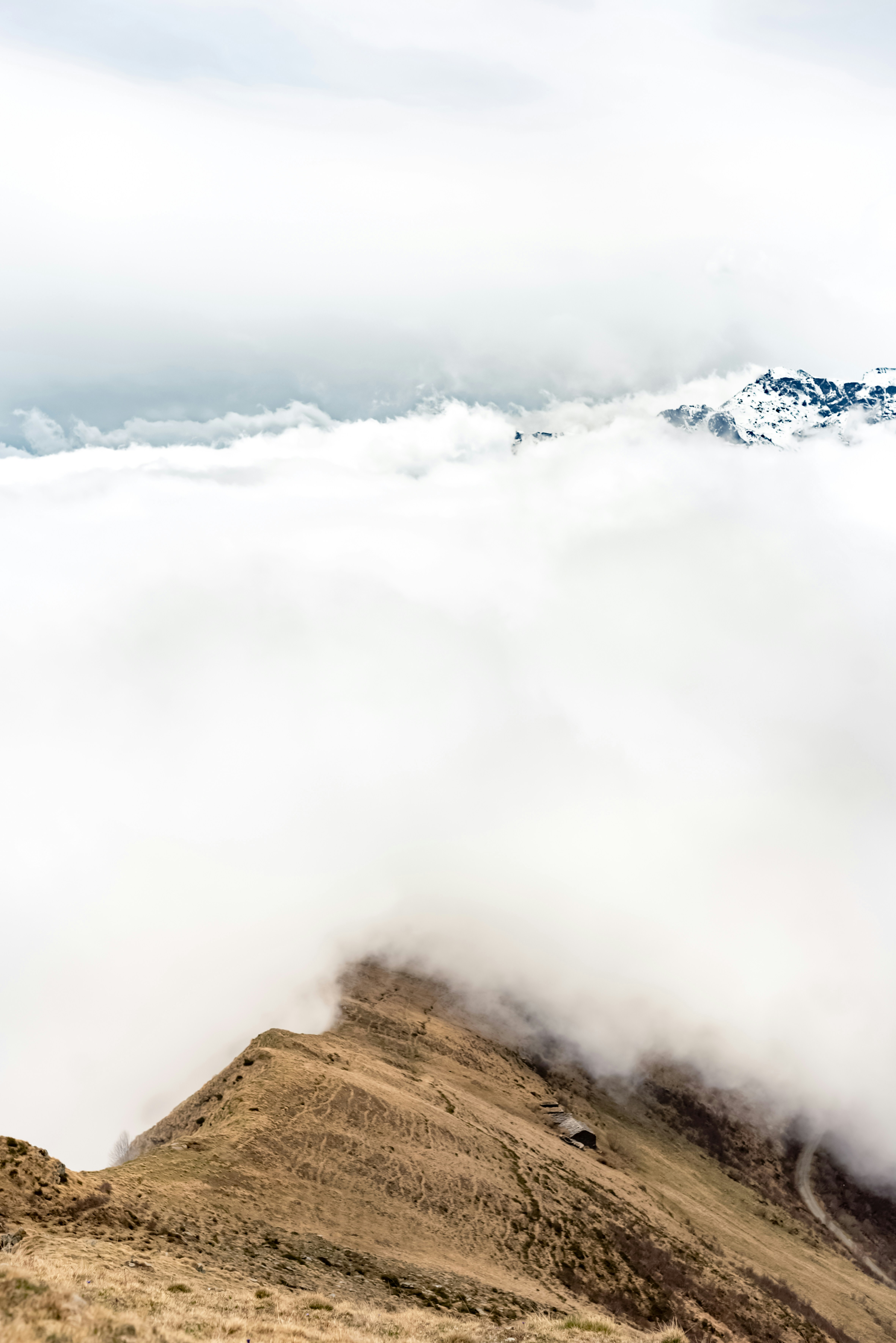 Photo by lauraadaiphoto