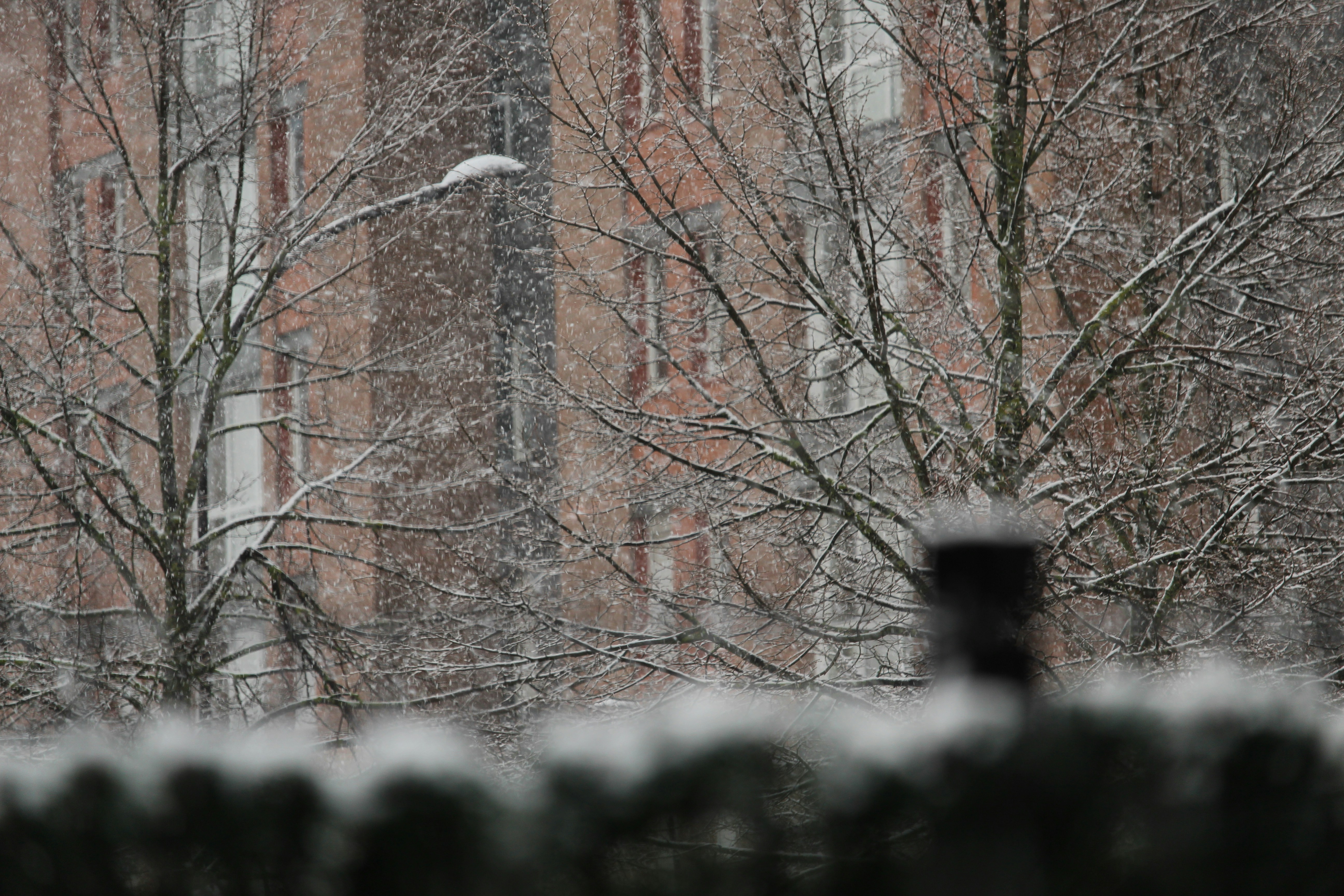 Photo by darbonville