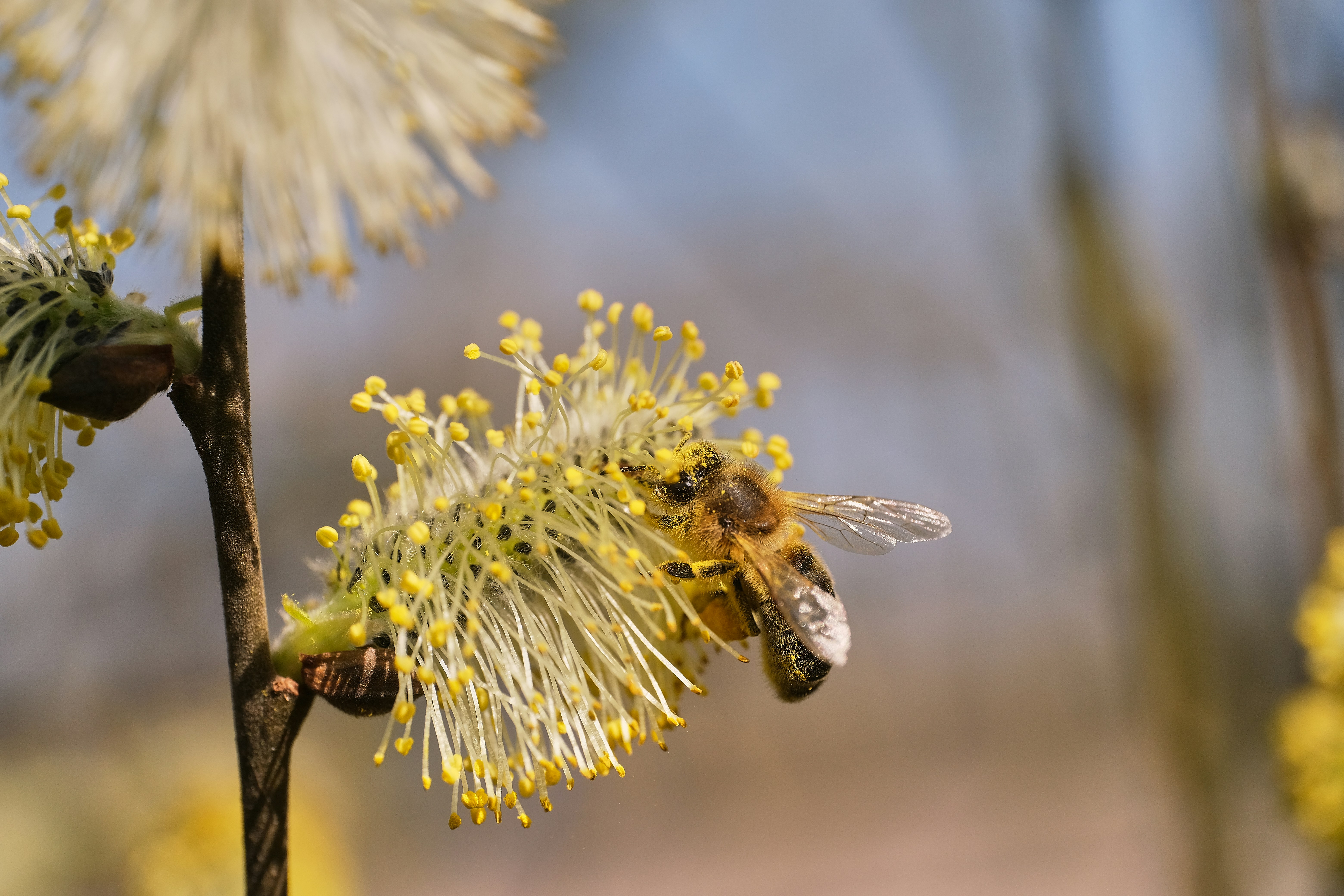 The Hidden Crisis That Science Reveals (image credits: unsplash)