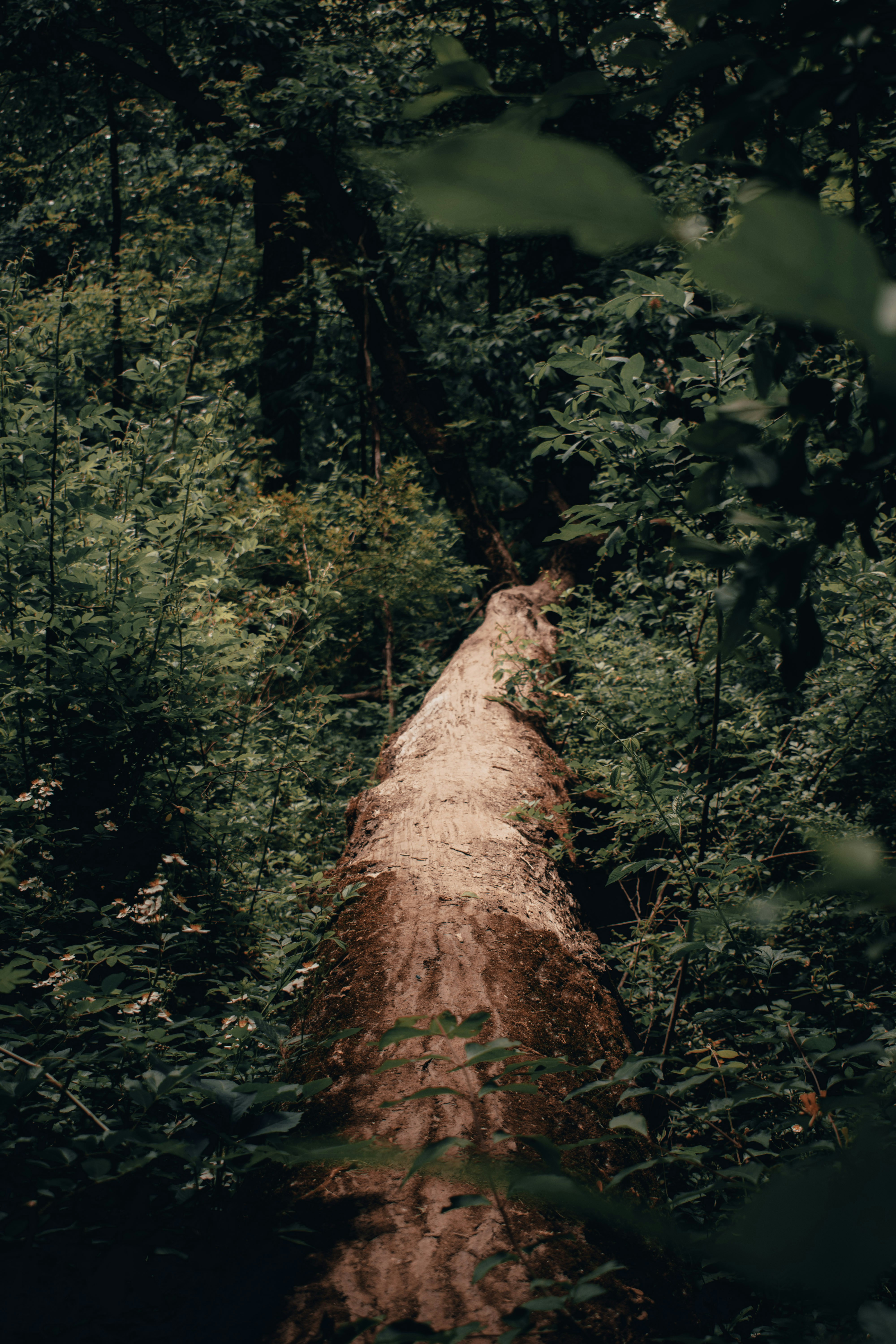 Photo by mariahhewines