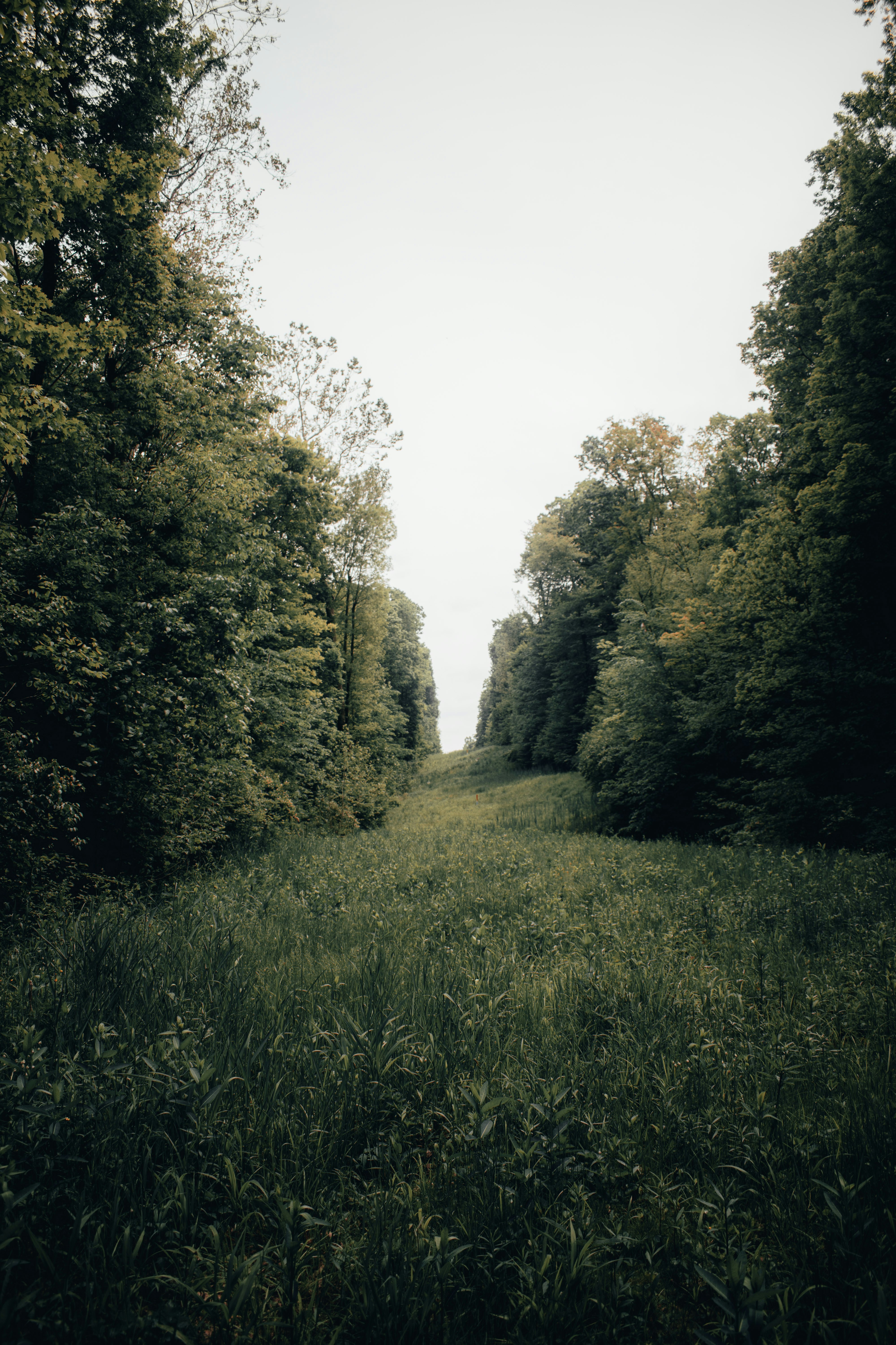 Photo by mariahhewines