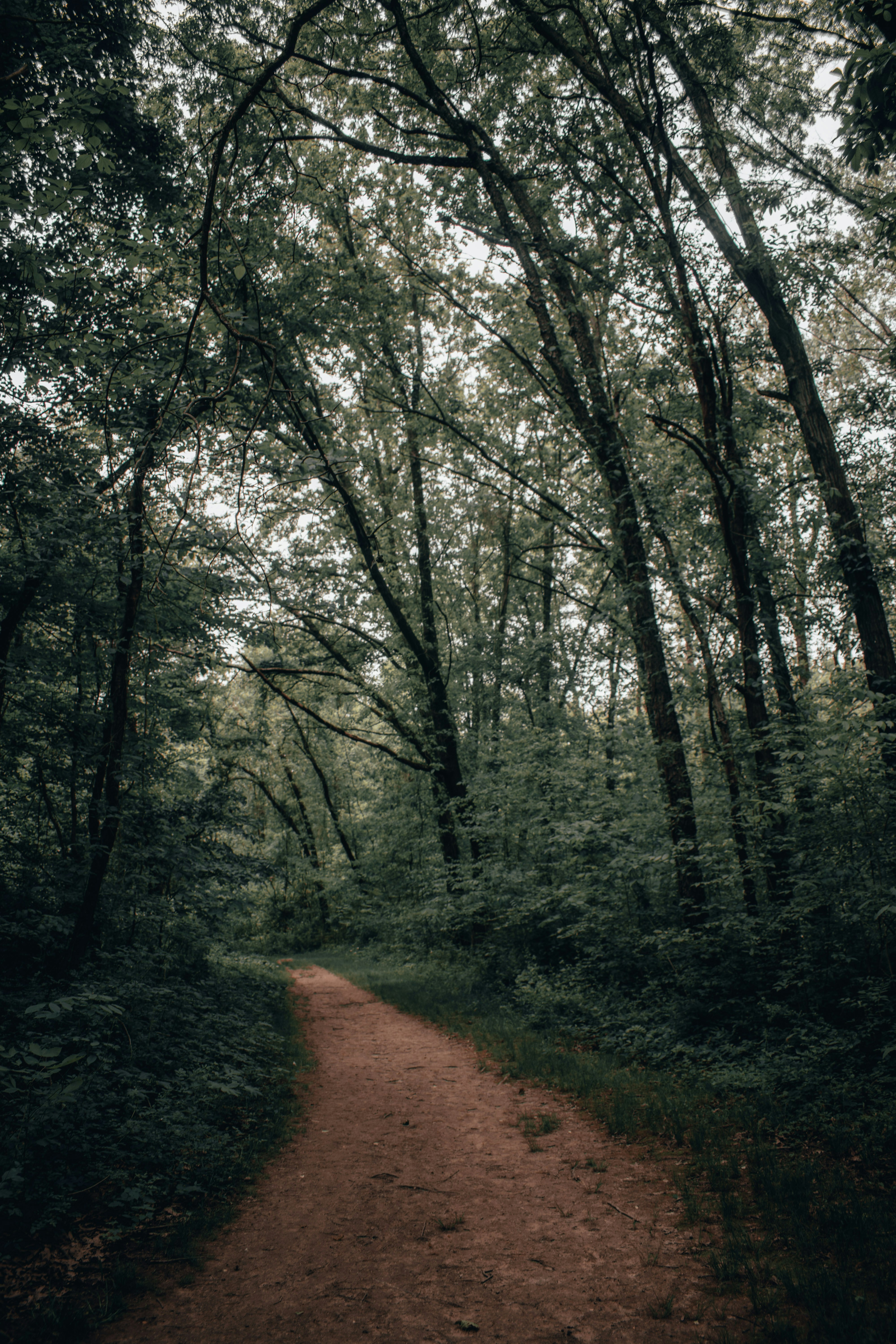 Photo by mariahhewines