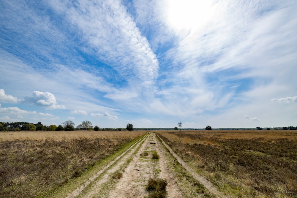 green grass field under blue sky and white clouds during daytime