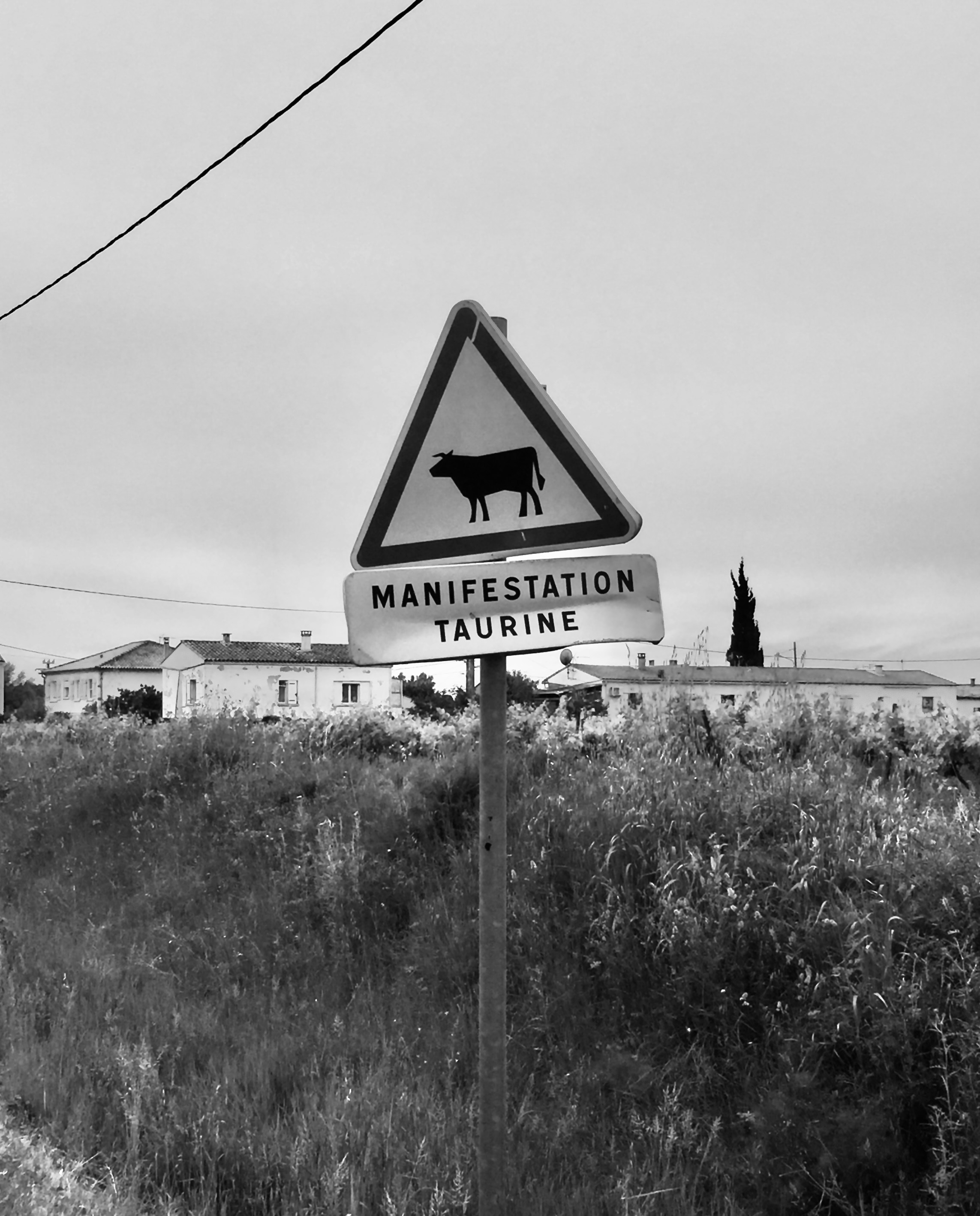 Market‑Ready Farm Pop‑Ups in 2026: Power, Payments, and Digital Resilience for Small Producers