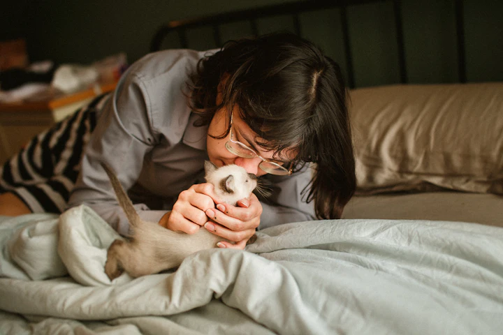 Woman gently playing with her cat at home