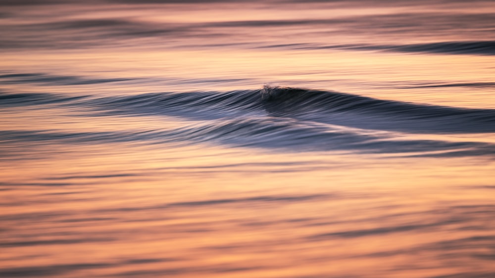 body of water during daytime